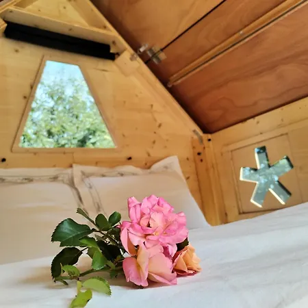 Starsbox La Montagna Di Leonardo Chata *