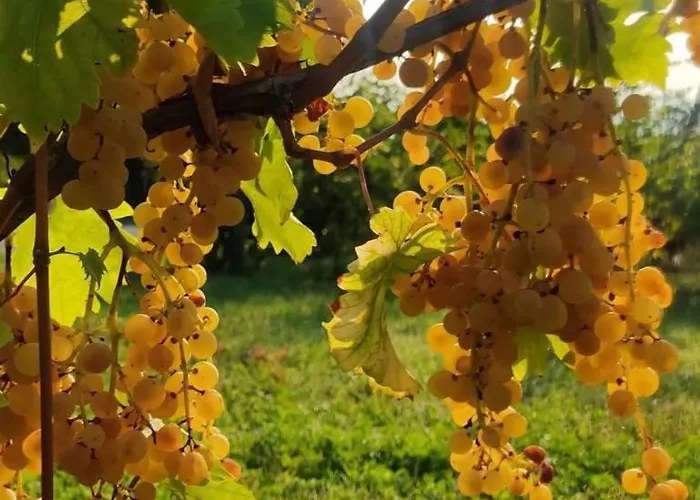 ロッジ Starsbox La Montagna Di Leonardo
