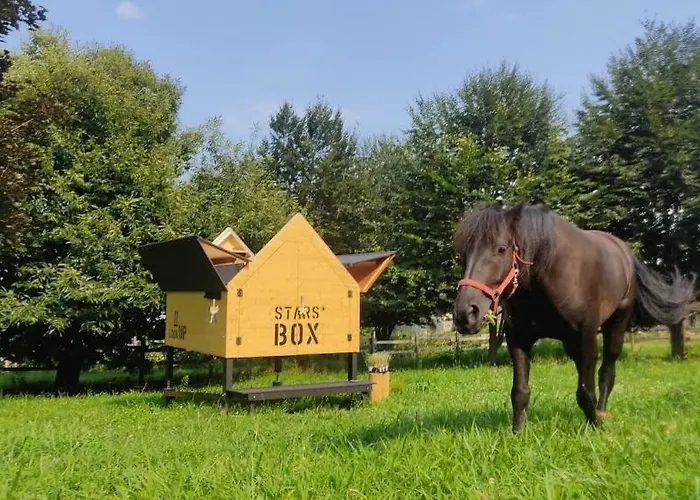 Starsbox La Montagna Di Leonardo ロッジ Envie